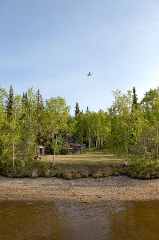 Land Clearing in Progress