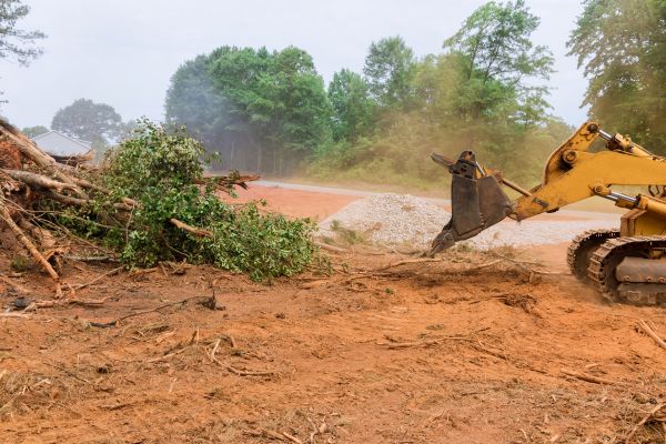 Ground Clearing in Concord