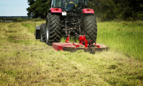 Brush Clearing Service in Concord