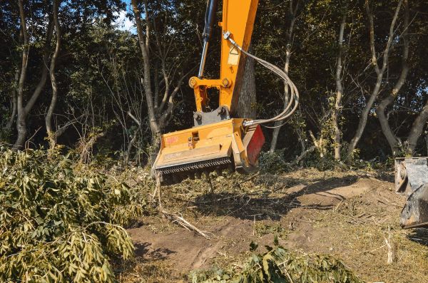 Brush Removal Service in Concord