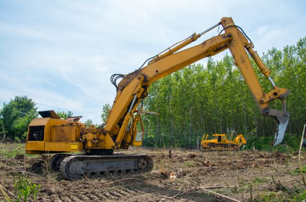 Farm Clearing in Concord