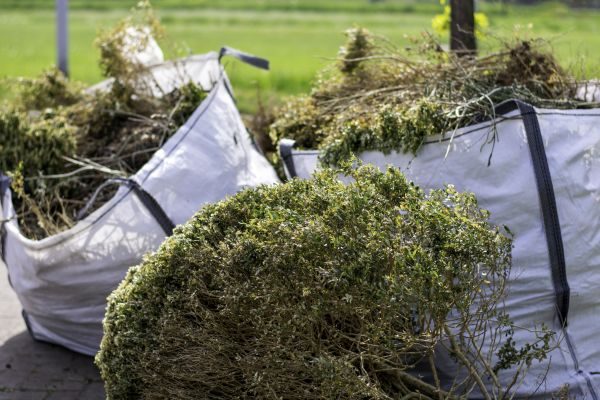 Bushes Clearing in Concord