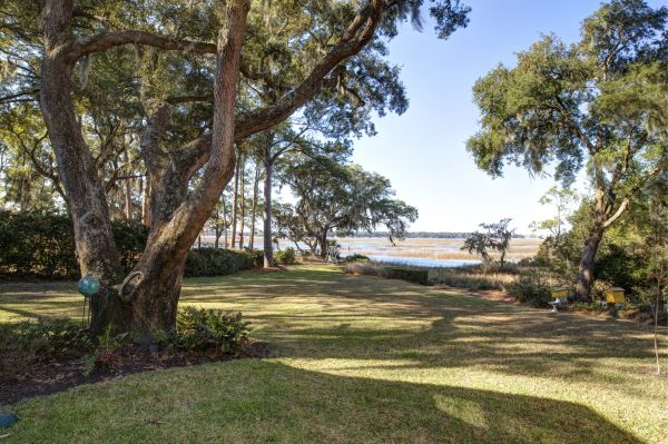 Lakefront Property Clearing in Concord