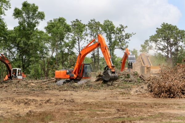 Commercial Lot Clearing in Concord